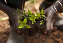 Agri Statistics Training
