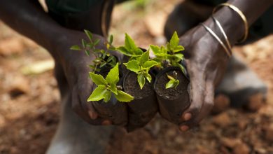Agri Statistics Training