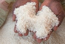 Tanzania Rice