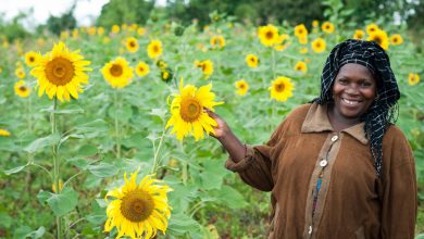 Agro-Processing, Mbeya