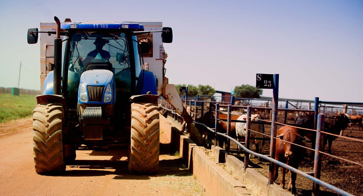 PIC Buys Into Africa s Biggest Feedlot In 365 Million Deal African pic-buys-into-africa-s-biggest-feedlot-in-365-million-deal-african