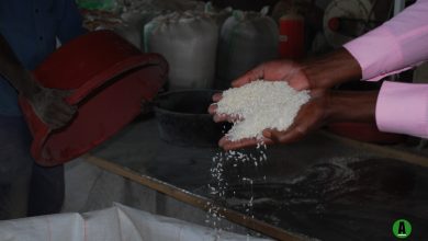 Rice Imports