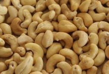 Cashew Nuts