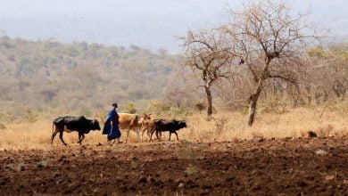 Tanzania Drought