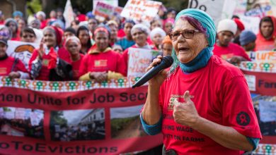 Drakenstein Farms Evictions