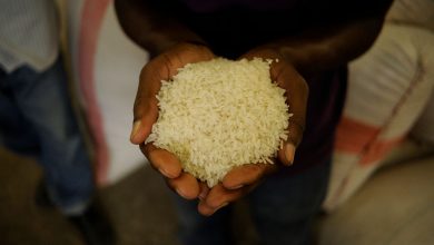 Mkondezi Rice Farmers