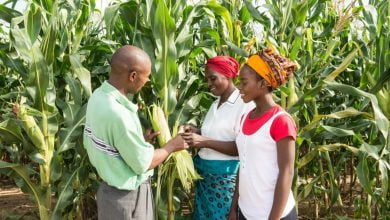 Accelerate Innovation