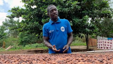 Chocolate Wealth