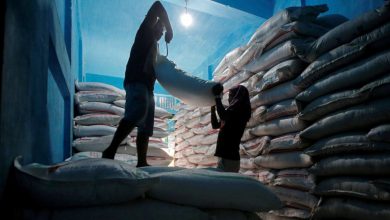 Sugar Prices