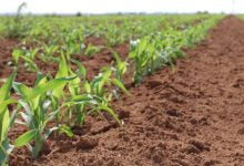 Agriculture Transformation