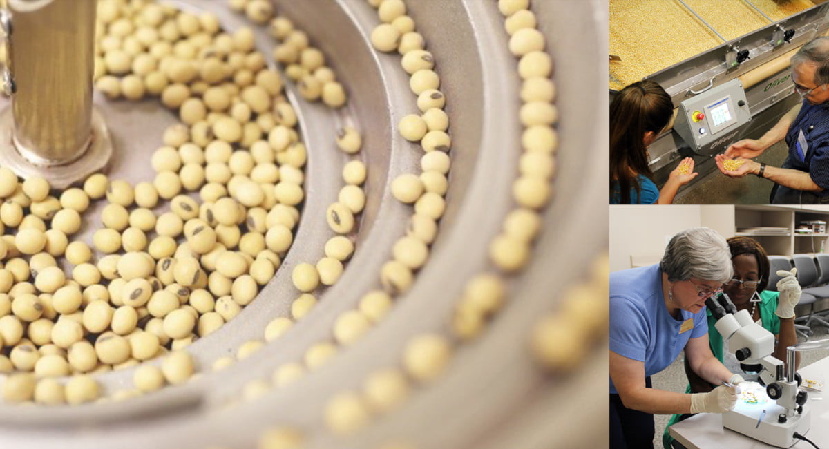 The Rise Of On site Seed Testing Services Underway Says A New FMI