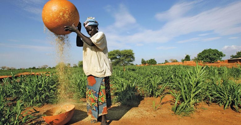 Agriculture Investment