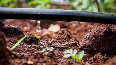 Micro Irrigation Systems