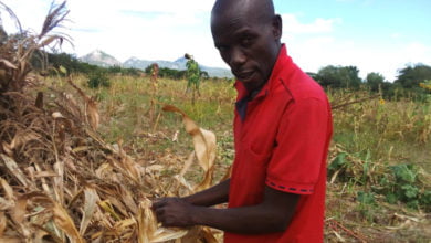 Farming Drought