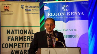 Elgon Kenya Managing Director