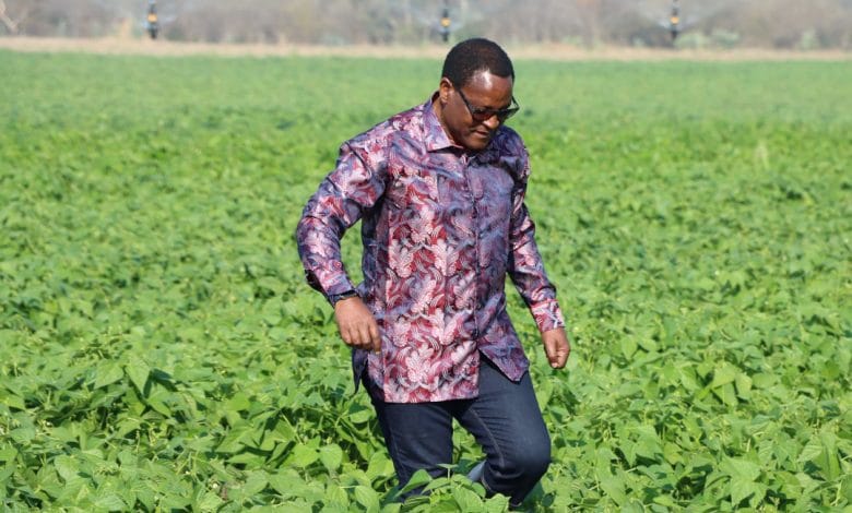 Malawi agriculture investment