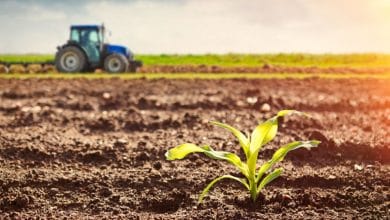 Net-Zero Agriculture