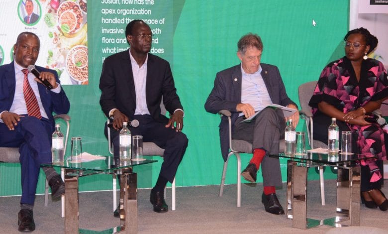 Future of horticulture