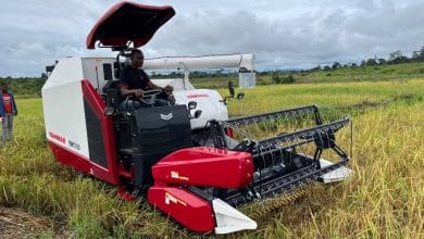 Yanmar