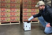 Catalytic Generators