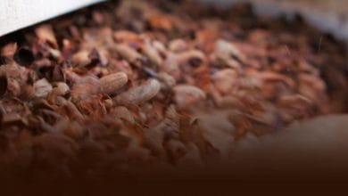 Cocoa grinding