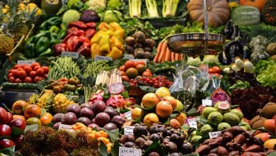Food export