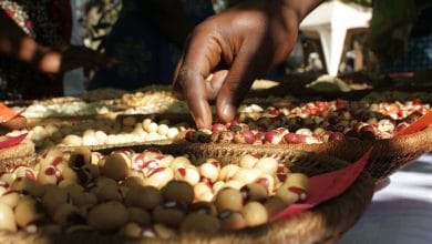 Food sovereignty