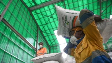Zambia fertiliser