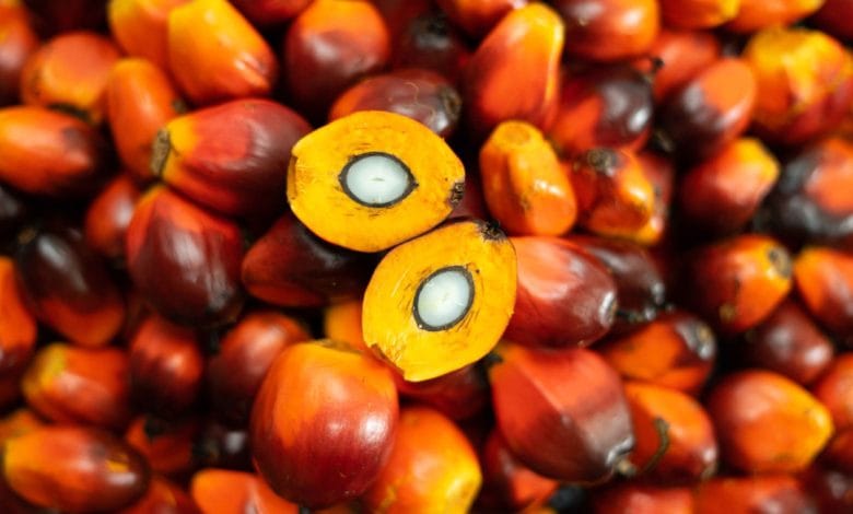 Palm oil