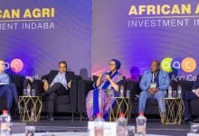 African agri-indaba