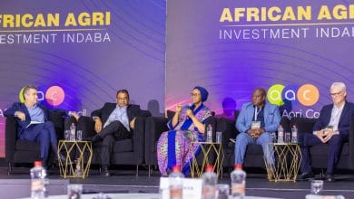 African agri-indaba