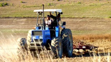Mechanization