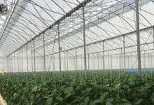BIORETE® AIR PLUS