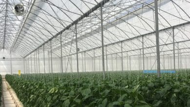 BIORETE® AIR PLUS