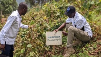 Rwanda feeding schools