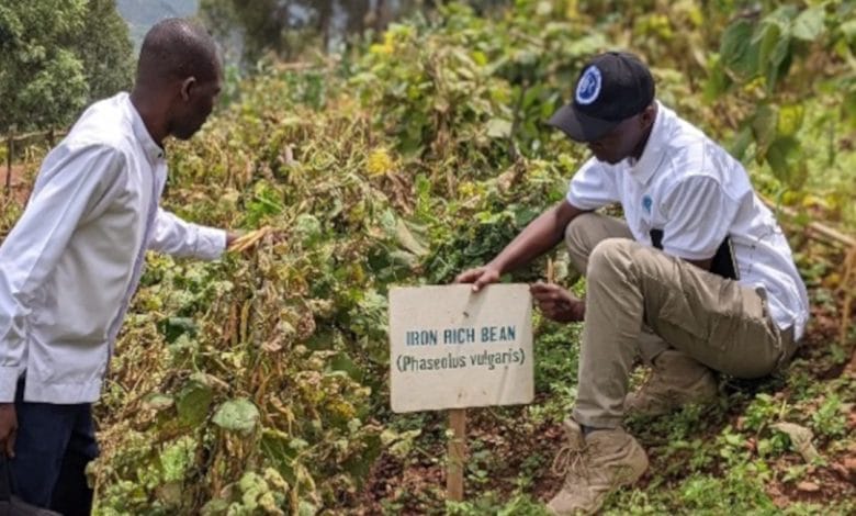 Rwanda feeding schools
