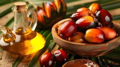 Palm oil