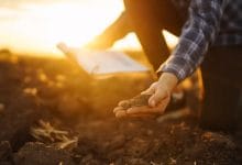 Soil nutrients