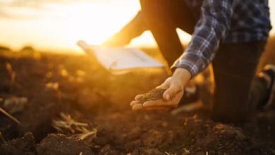 Soil nutrients
