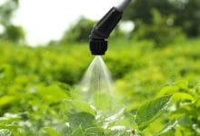 Biopesticides