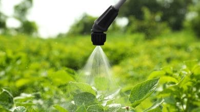 Biopesticides