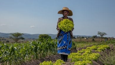Eswatini women farmers