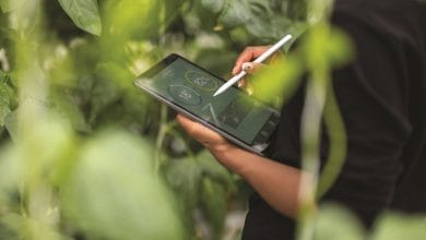 Smallholder farmers