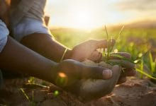 Soil farming