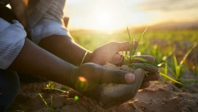 Soil farming