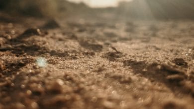 Soil management