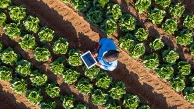 Agritech