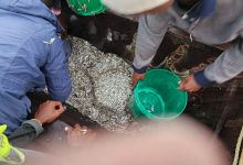 Fisheries