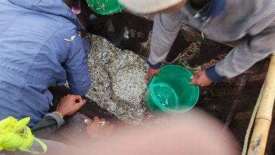 Fisheries
