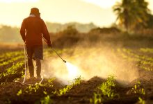 Hazardous pesticides